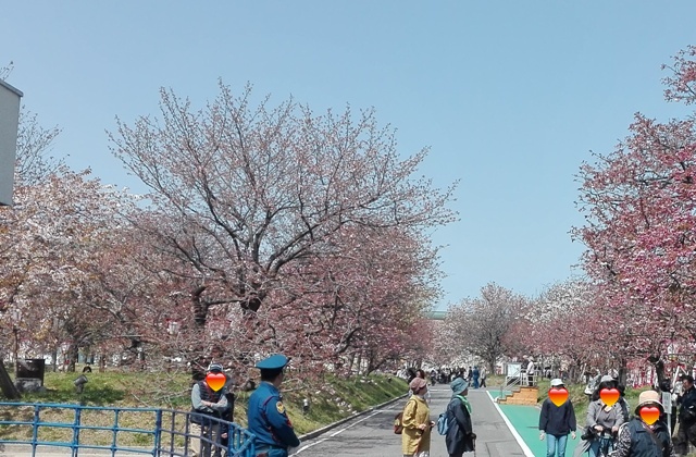 花のまわりみち開幕の模様