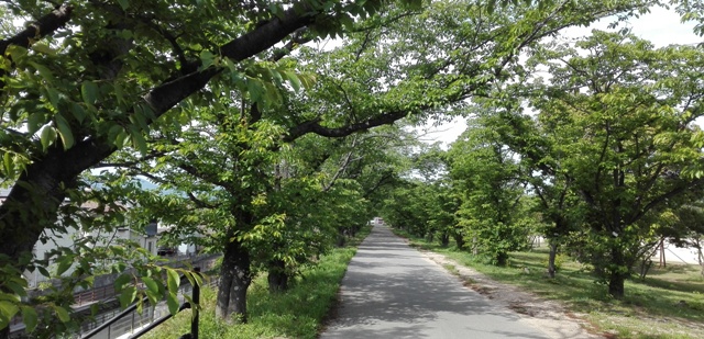 住吉堤防敷で歩数計実験