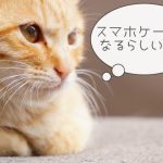オリジナルのスマホケースで、テンション高めのスマホライフへ！